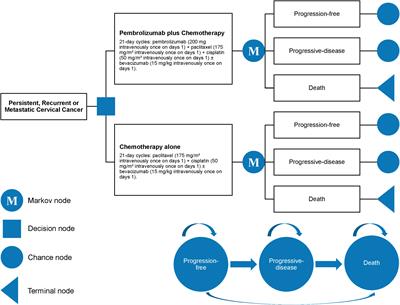 Comparative cost-effectiveness of first-line pembrolizumab plus chemotherapy vs. chemotherapy alone in persistent, recurrent, or metastatic cervical cancer